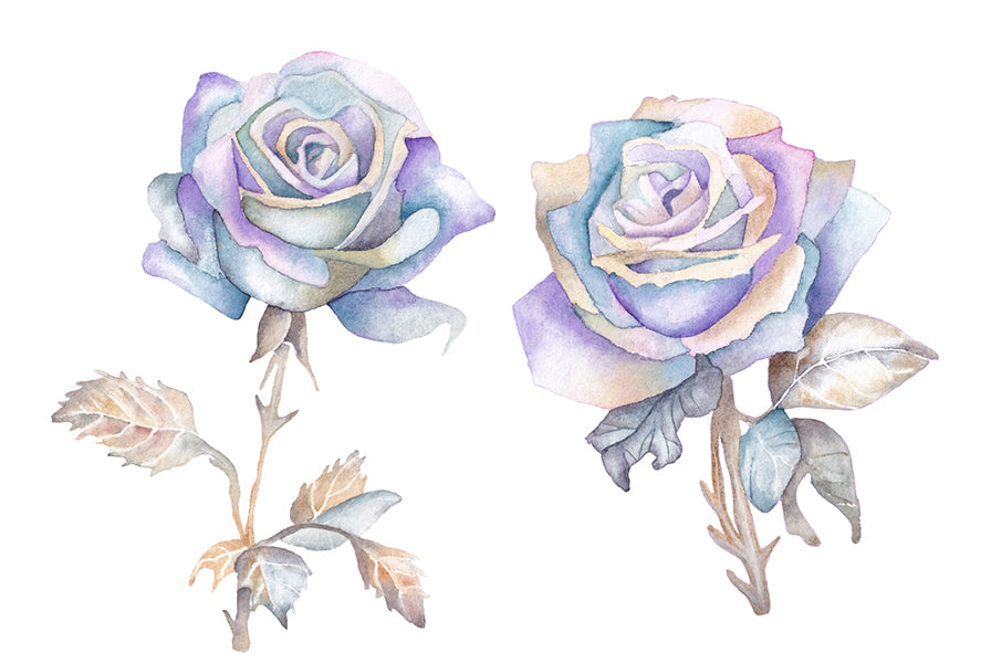 Purple Roses. Wiccan pagan clipart instant download from hand-painted watercolor paintings. Great for journals pagan products, book of shadows and creating your own withch gifts. 