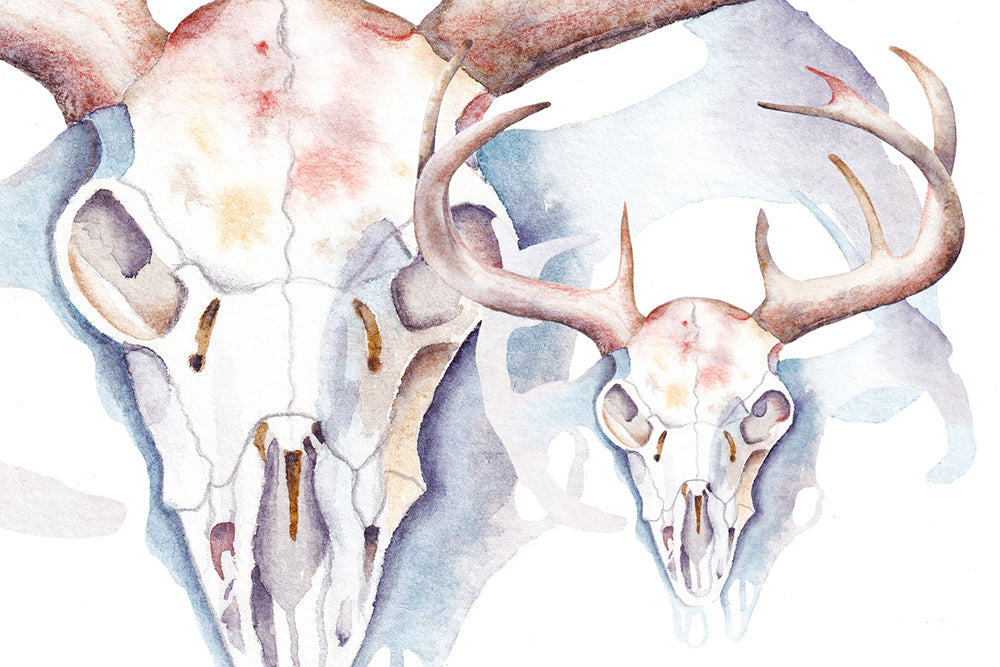 Watercolor illustration of a deer skull with antlers on a light background. Wiccan pagan clipart instant download from hand-painted watercolor paintings. Great for journals pagan products, book of shadows and creating your own witch gifts. 